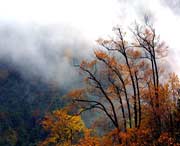 千阳后天天气